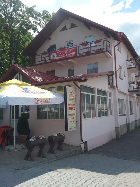 Pensiune Restaurant Sfinx Busteni Exterior photo